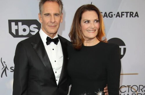 wil bakula